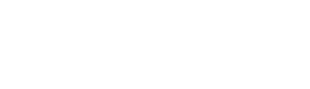 Logimudanzas